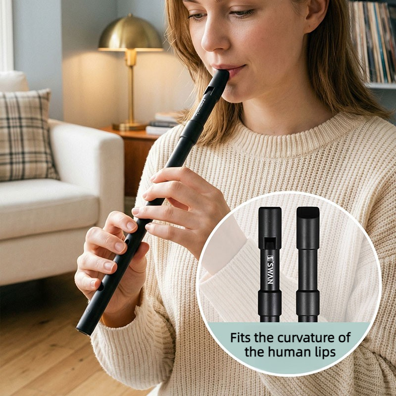 Penny Whistle D - C/D Key Tin Whistle Beginner Portable
