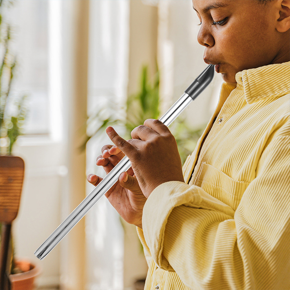 Musical Instrument Recorder - Soprano Recorder D Key Metal Recorder
