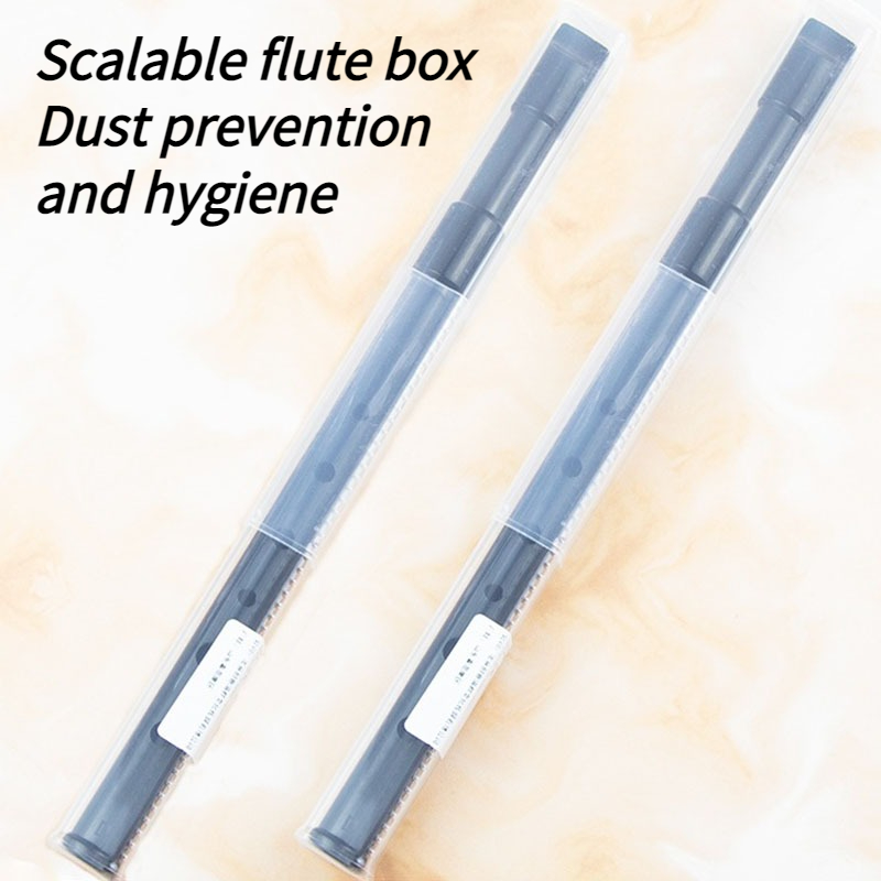 6 Hole Resin Tin Whistle D Key - Penny Whistle D recension och pris