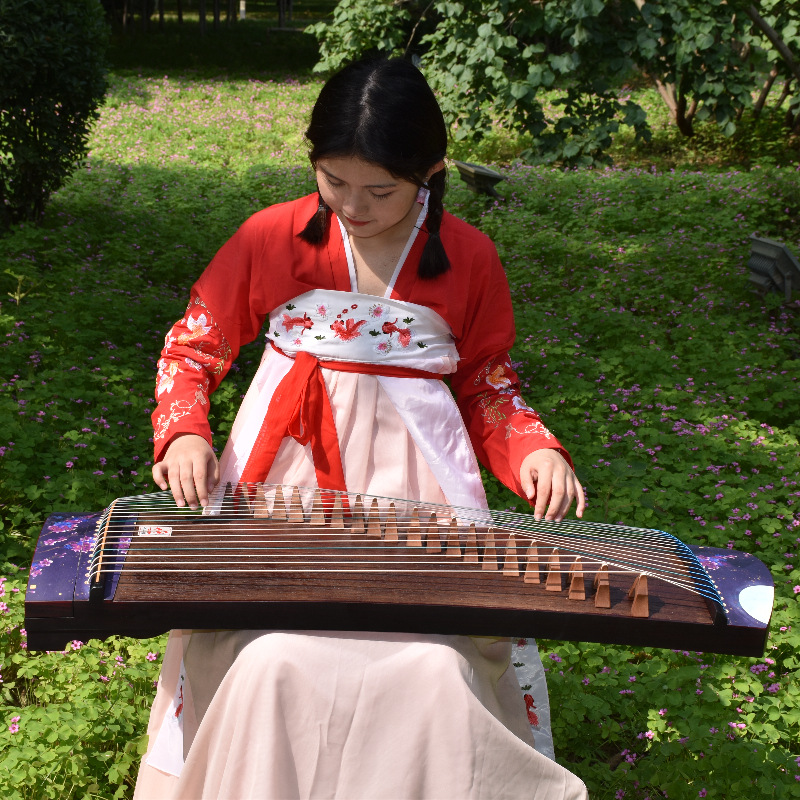 100cm stringed Mini Guzheng Co - Musical Instrument Guzheng recension och pris
