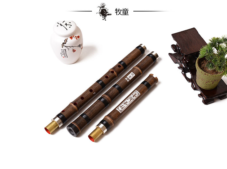 Chinese Bamboo Flute Xiao Vert - Musical Instrument Xiao recension och pris