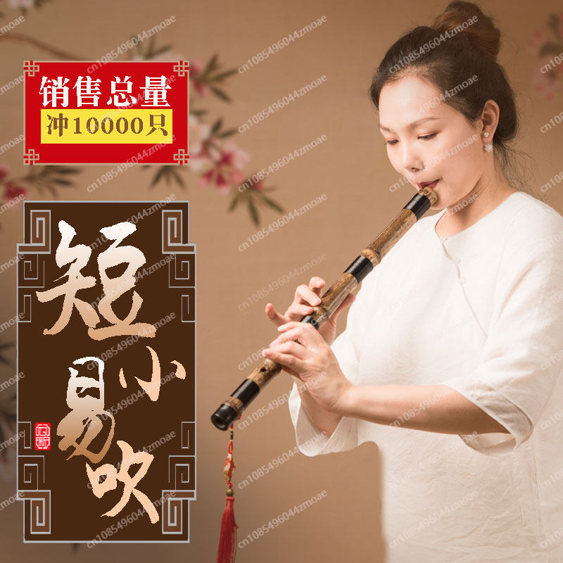 Professional play hole flute o - Musical Instrument Xiao recension och pris