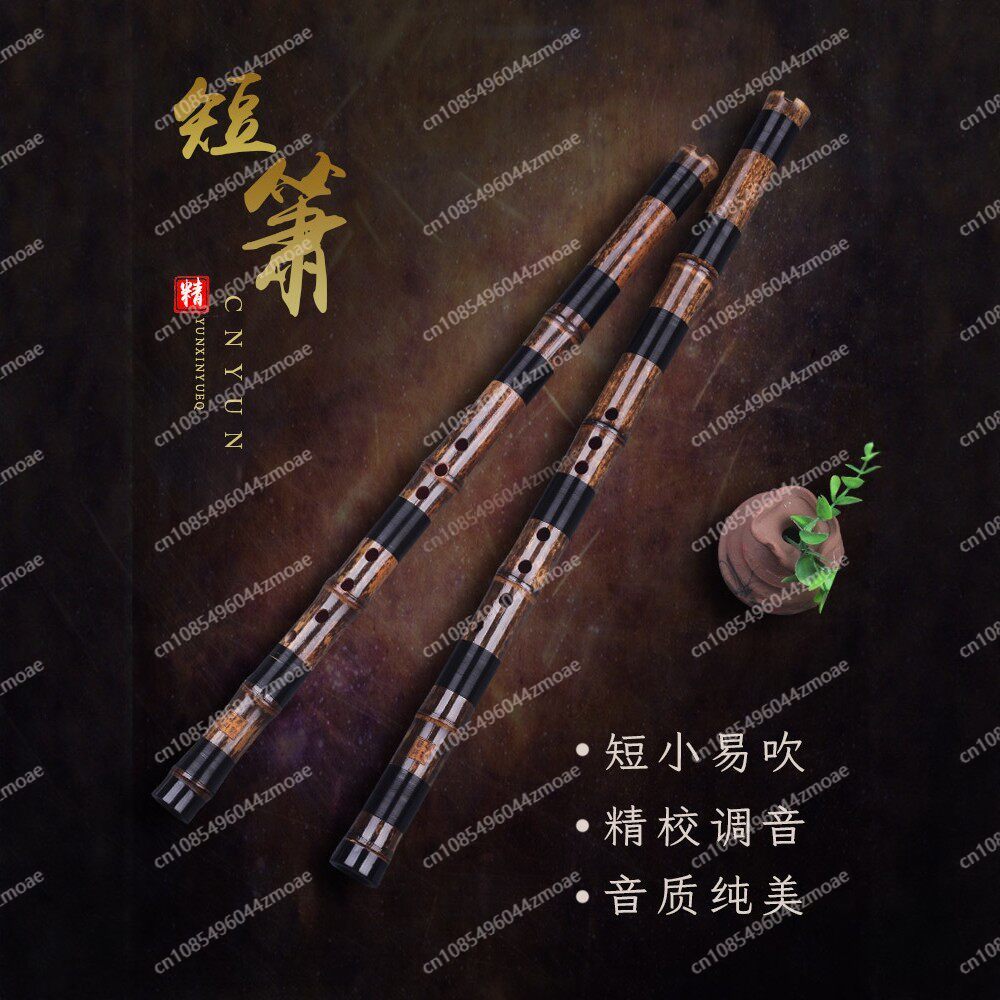 Professional play hole flute o - Musical Instrument Xiao recension och pris