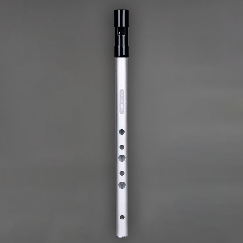 D Key 6 Hole Penny Whistle Met - Penny Whistle D recension och pris