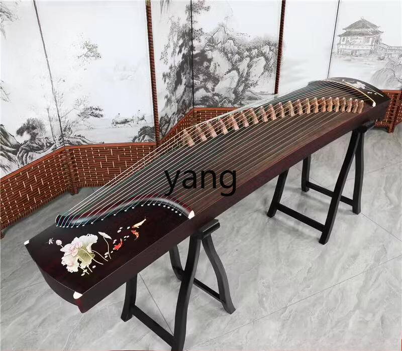 LT test entry level 10 playing - Musical Instrument Guzheng recension och pris