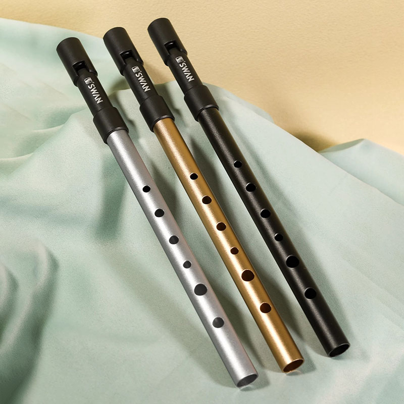 C/D Key Tin Whistle Beginner P - Penny Whistle D recension och pris