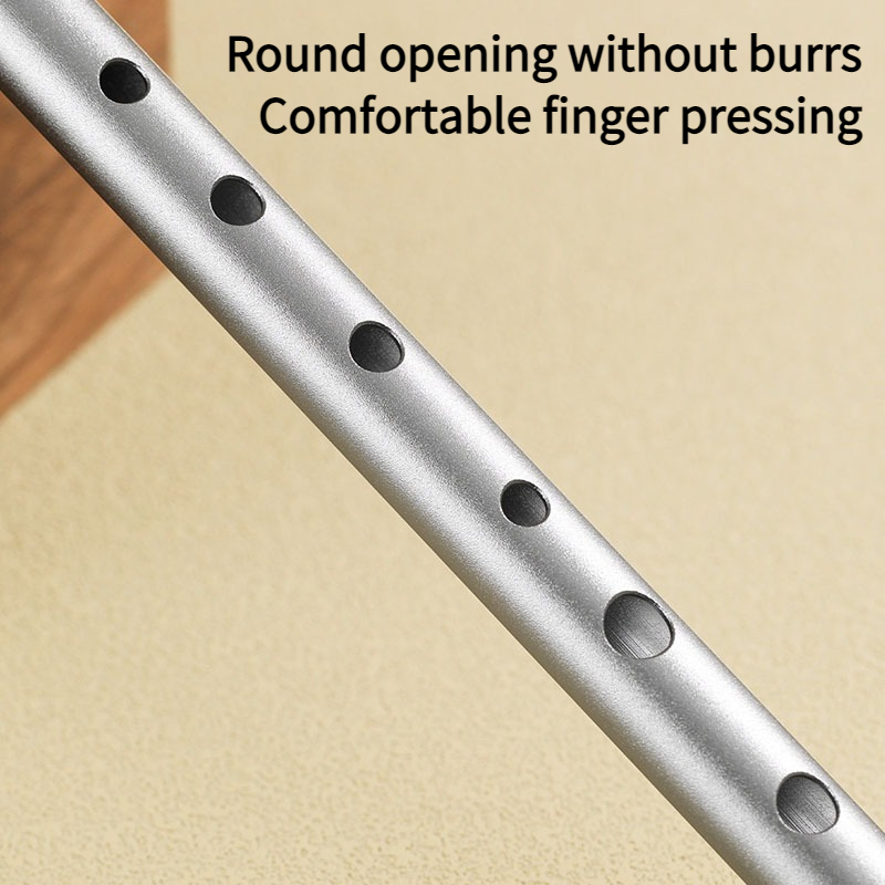 C/D Key Tin Whistle Beginner P - Penny Whistle D recension och pris