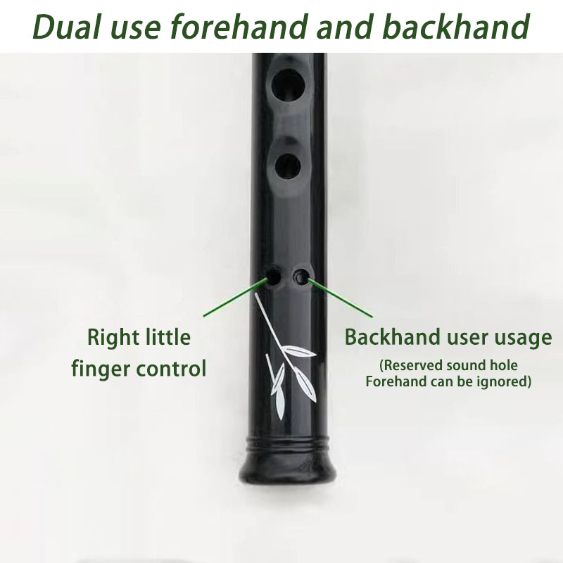 D/C Key Resin Penny Whistle Ad - Penny Whistle D recension och pris