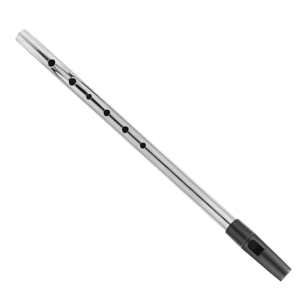 Soprano Recorder D Key Metal R - Musical Instrument Recorder recension och pris