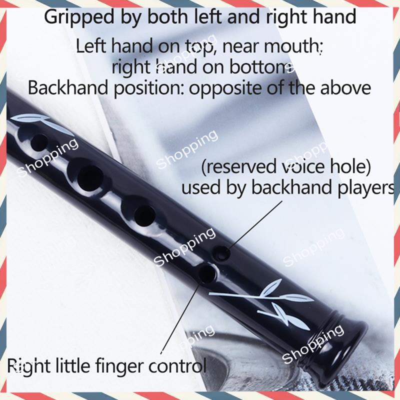 A44M 6 Holes Irish Tin Penny W - Penny Whistle D recension och pris