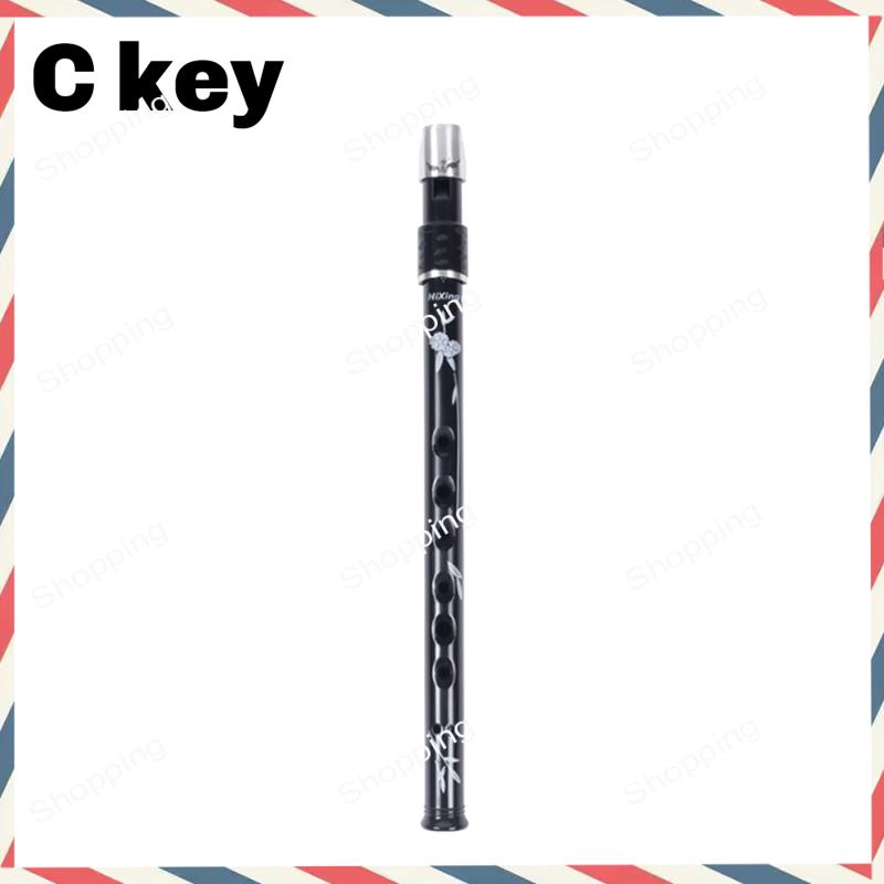 A44M 6 Holes Irish Tin Penny W - Penny Whistle D recension och pris