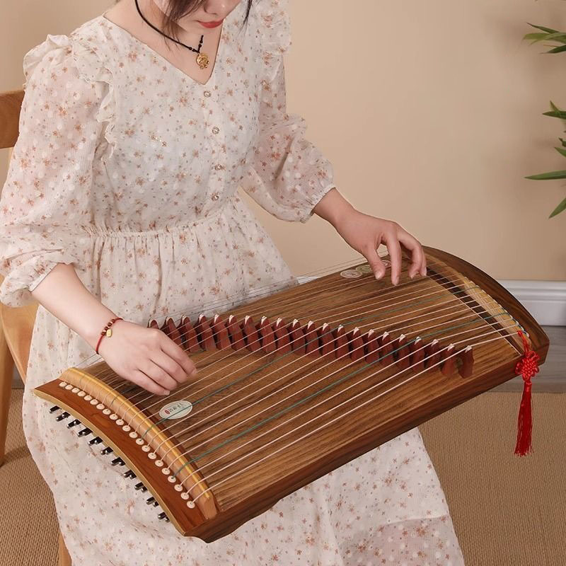 70/100cm Small Guzheng Portabl - Musical Instrument Guzheng recension och pris