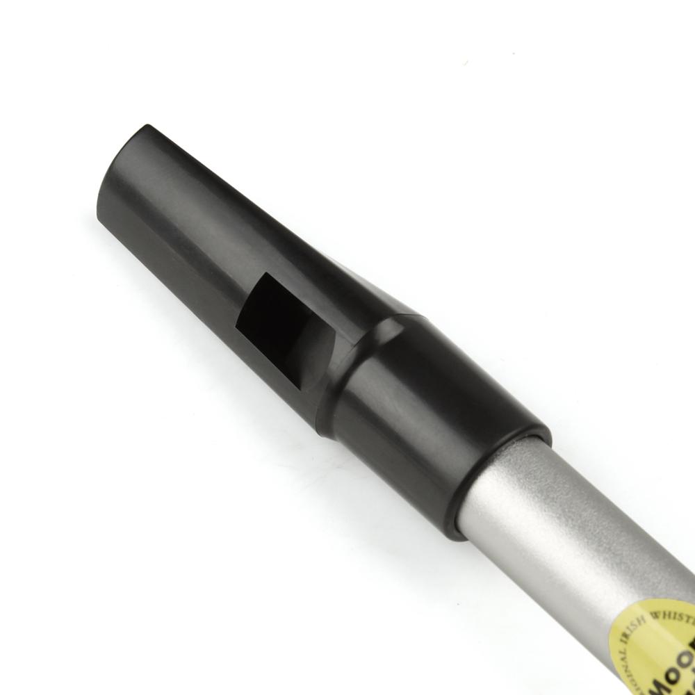 Multi colour D Key 6 Holes Iri - Penny Whistle D recension och pris