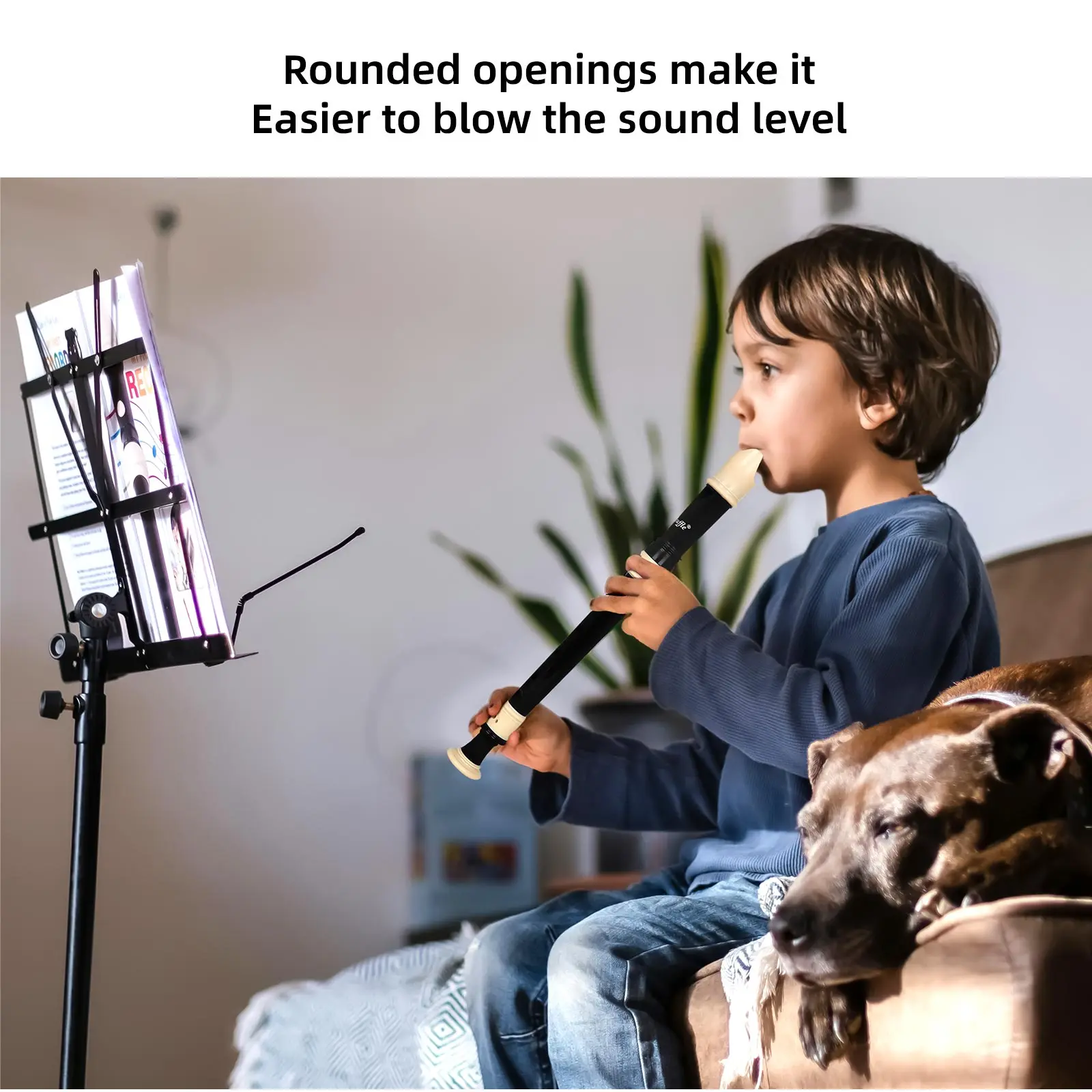 8-Hole Recorder Baroque Style  - Musical Instrument Recorder recension och pris
